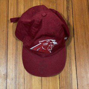 47 Carolina Panthers Hat